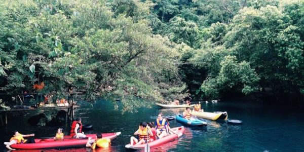 Tour du lịch Phong Nha 1 ngày